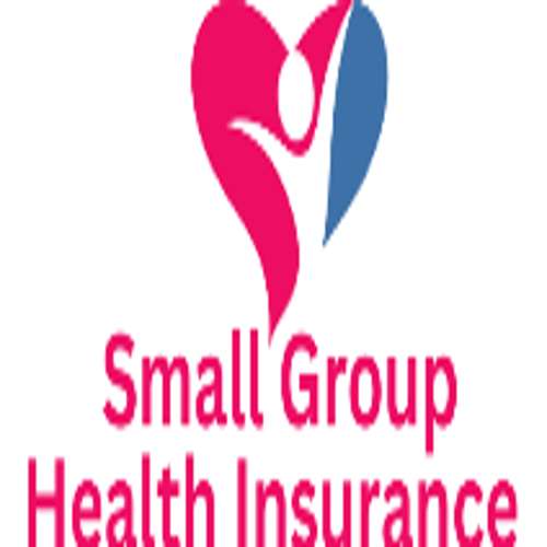Small Group Health Insurance Services